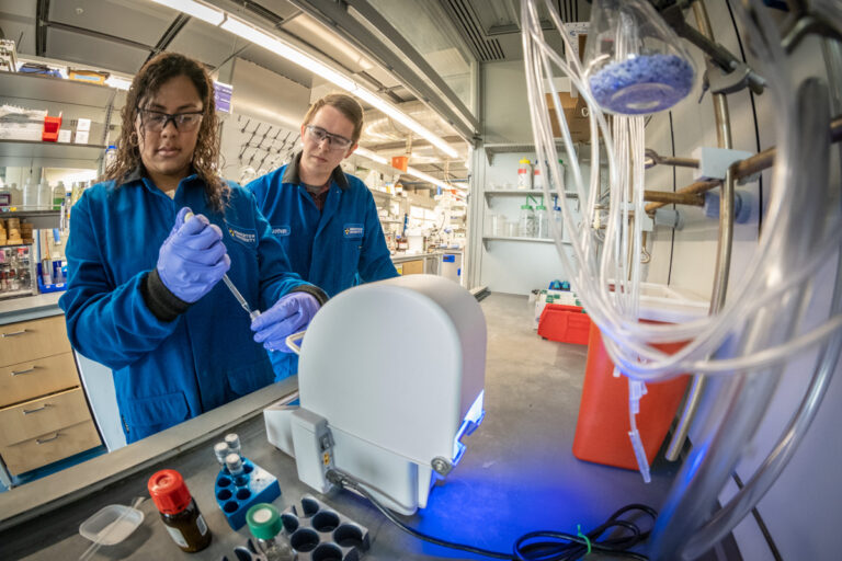 Undergraduate researcher working with graduate student mentor