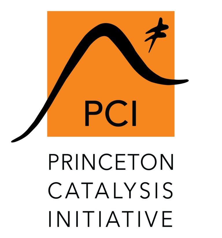 The new logo for PCI, introduced as the Initiative rolls out its website.