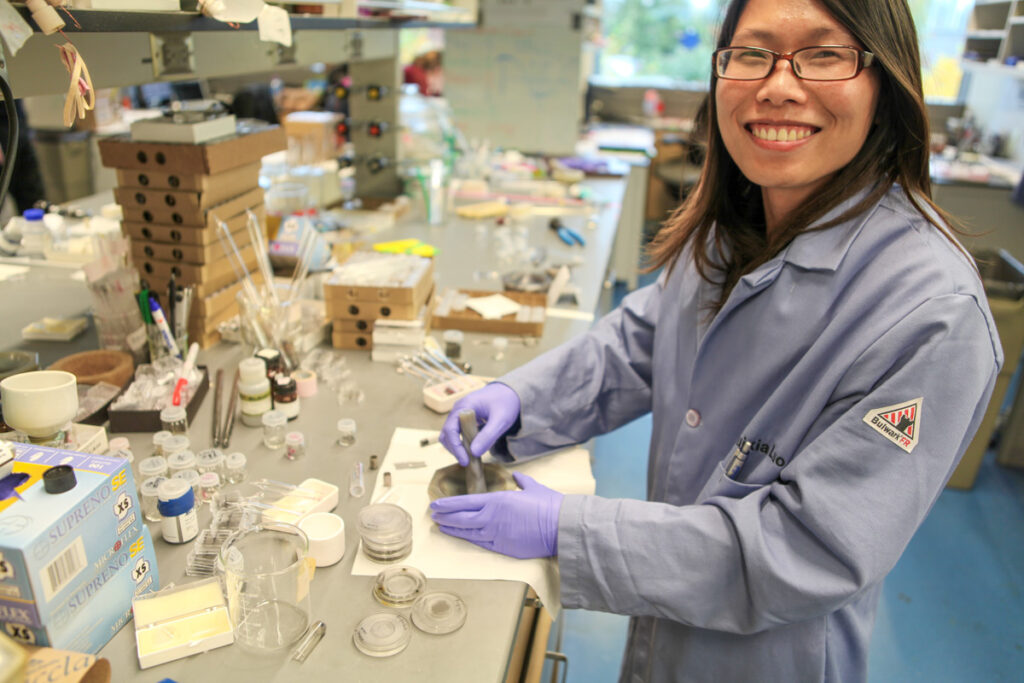 Huixia Luo, postdoctoral researcher in the Cava lab