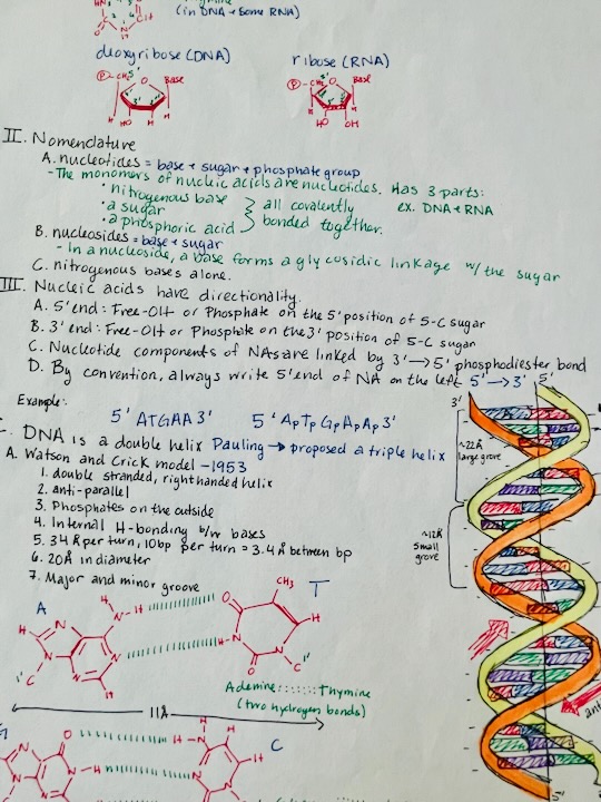 Notes from an undergraduate course.