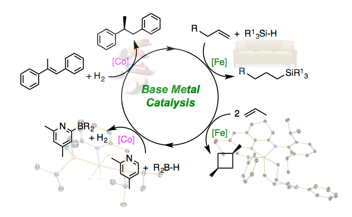 The two major areas of study in our laboratory are Base Metal Catalysis and N₂ Functionalization