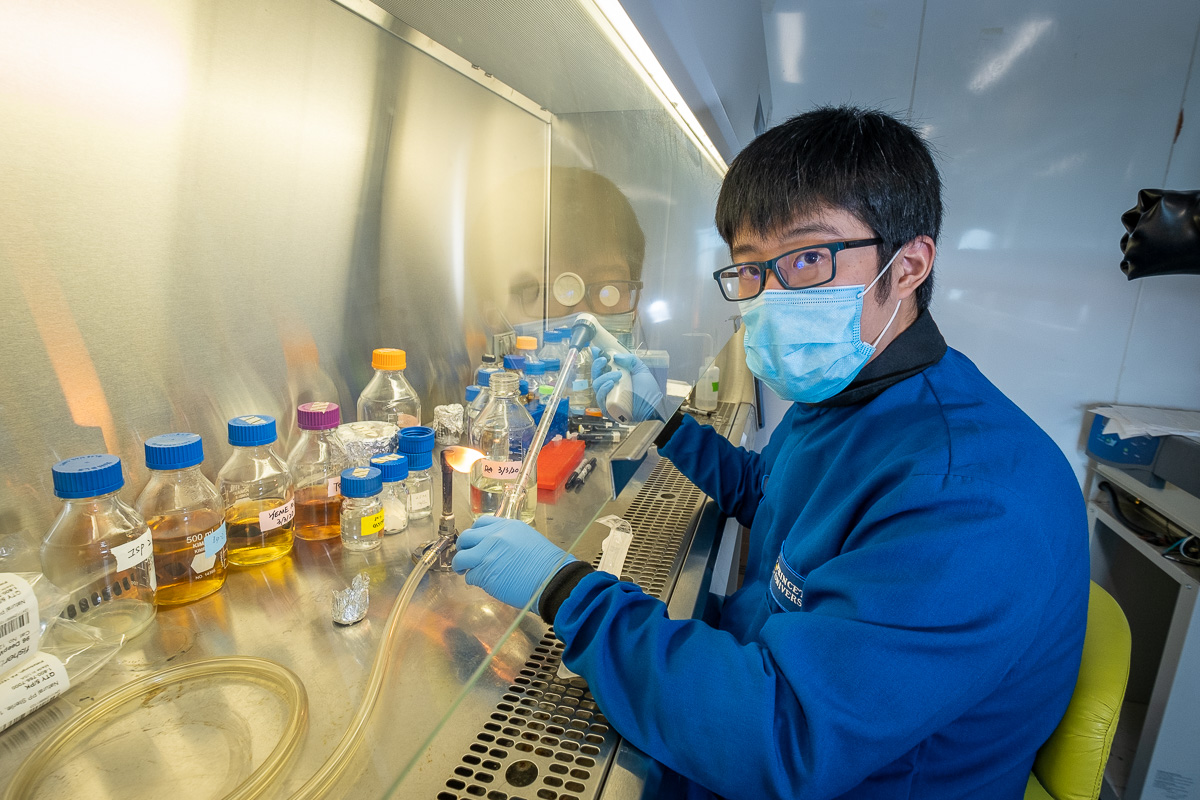 Chen Zhang, graduate student in the Seyedsayamdost lab, preparing a cell culture within a sterile clean hood.