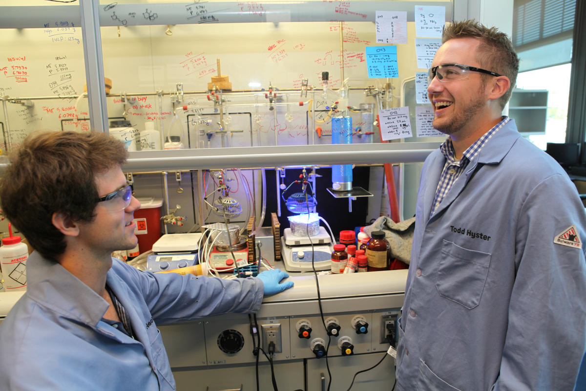 Professor Explores New Territory By Bridging Chemistry, Biology ...