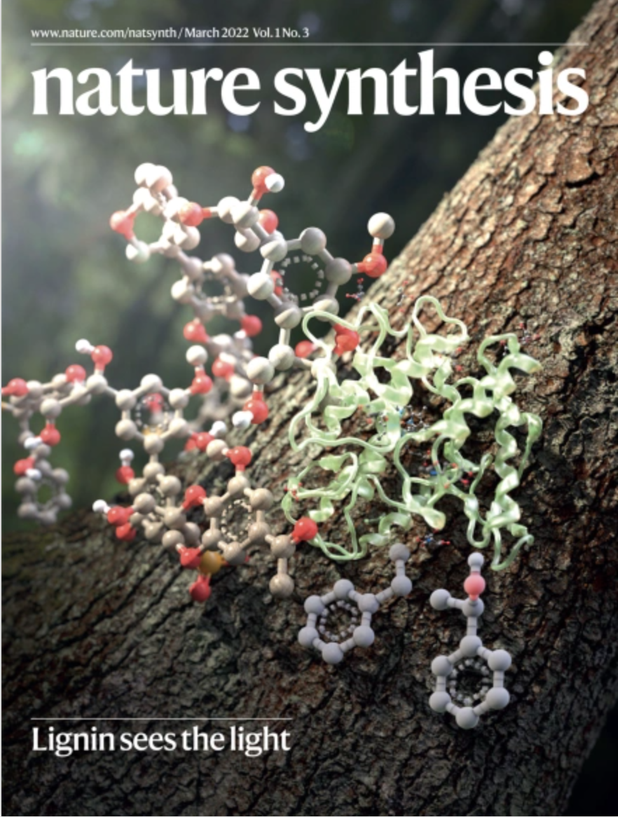Cover of the journal Nature Synthesis